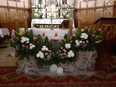 Gala. Kwiaciarnia Dębica